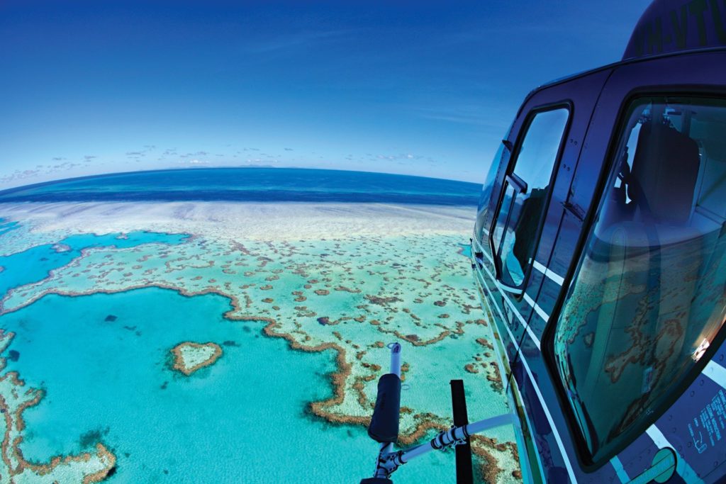 Teenagers-Heart-Reef