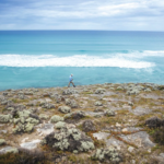 West Australia coast safari