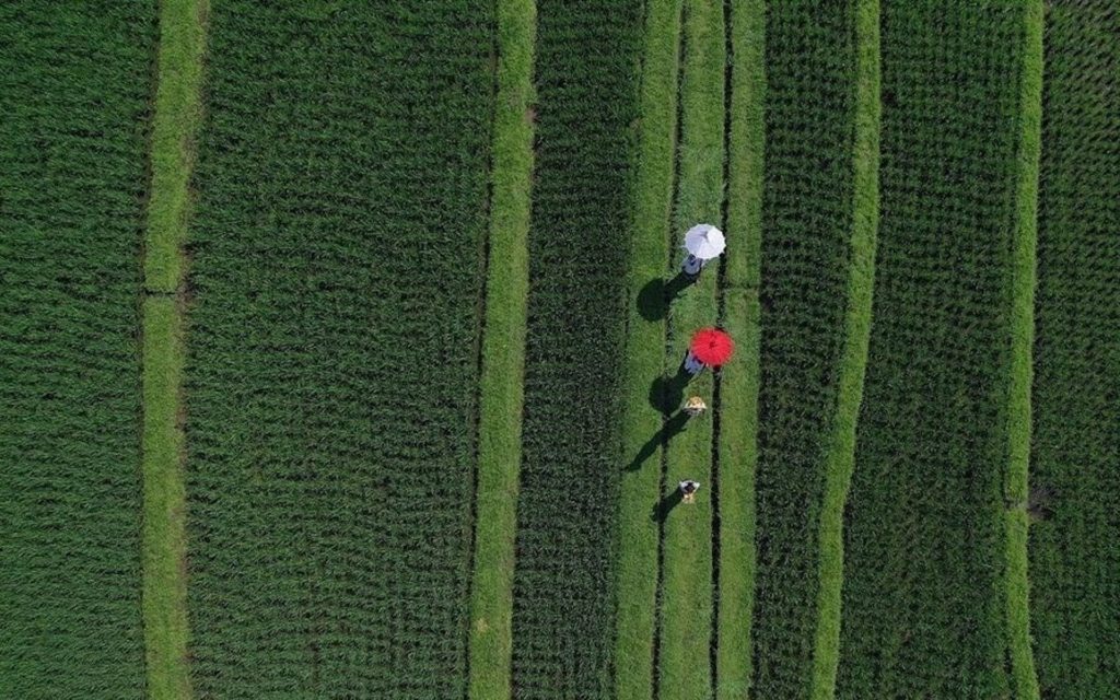 183178583_3960373440747125_7834194567929022697_n