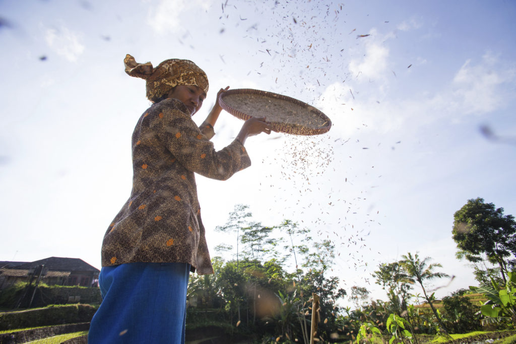 Amanjiwo, Indonesia - Village Scenes