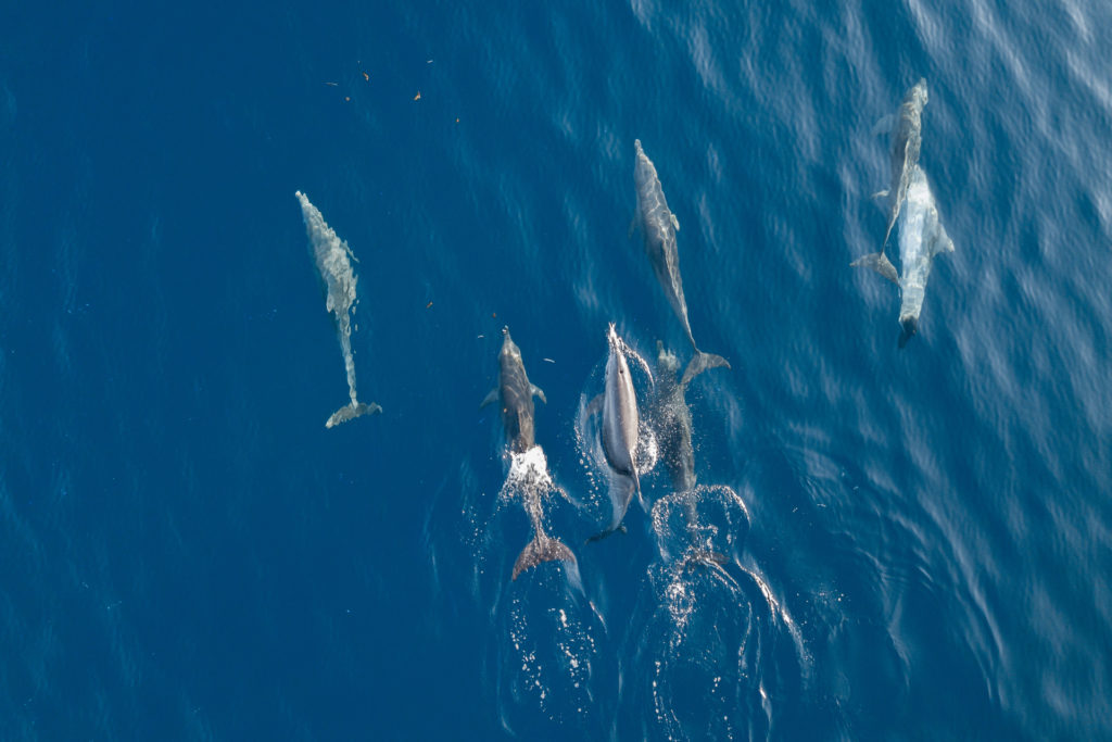 Day 7_B_R4_ Marcelo-2