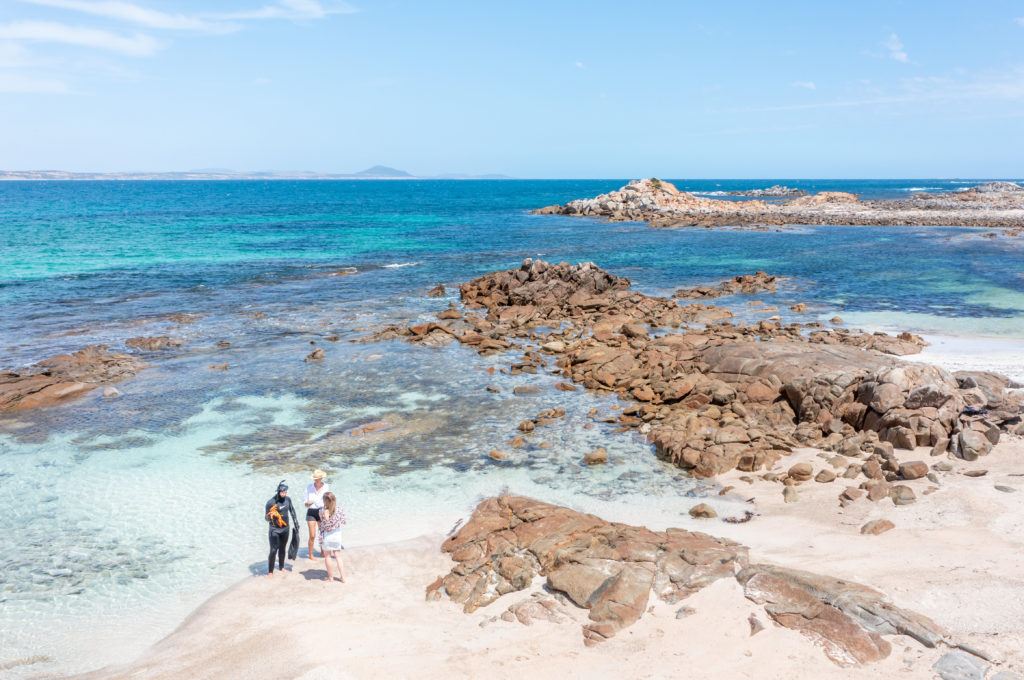 snorkel for lobster in australia