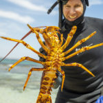 guide shows fresh lobster catch