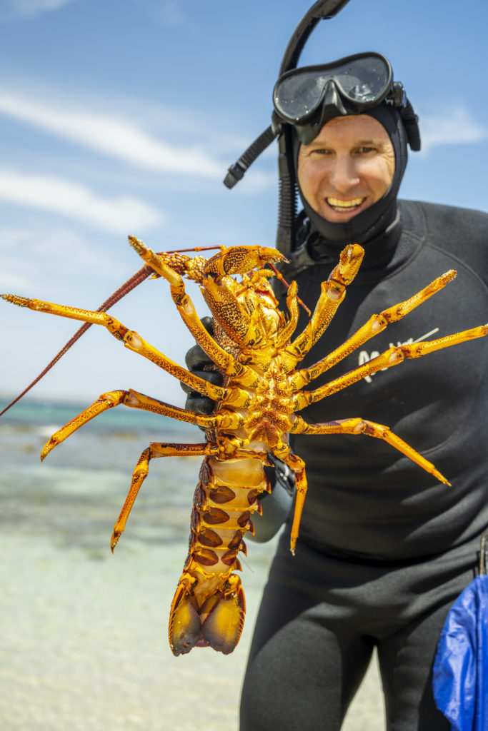 guide shows fresh lobster catch