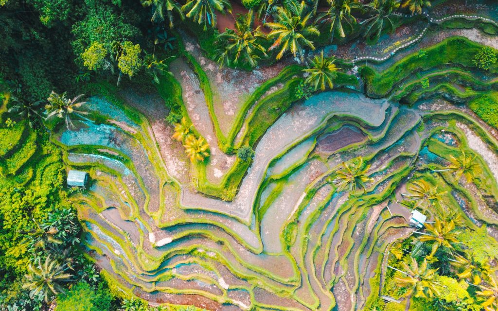 jason-cooper-XEhchWQuWyM-unsplash