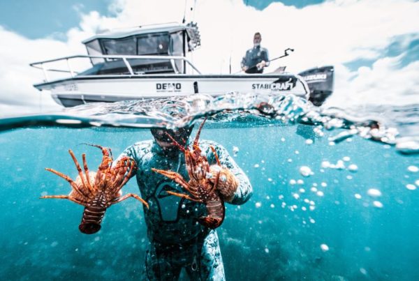 snorkel for lobster in australia