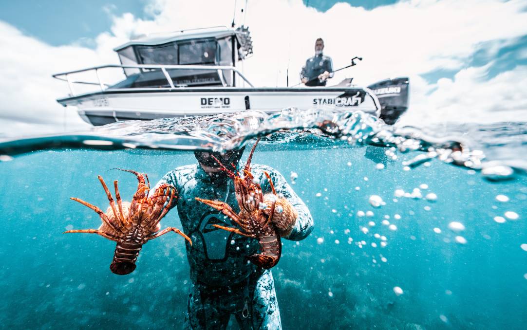 snorkel for lobster in australia