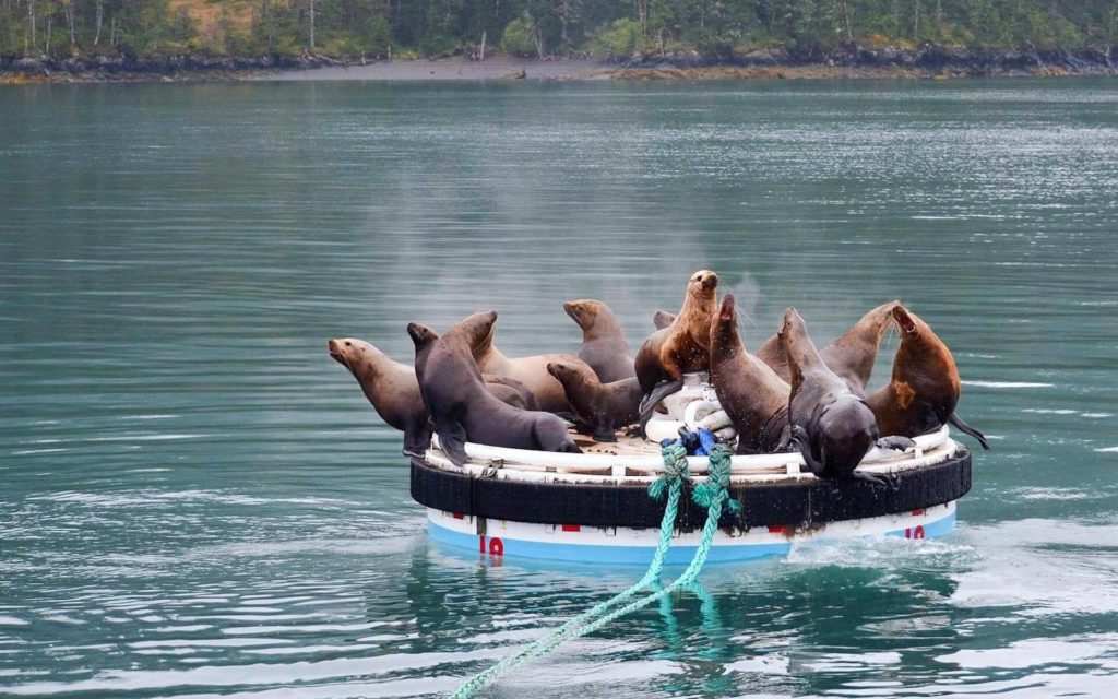 288467738_713343339713679_4629346798147758689_n