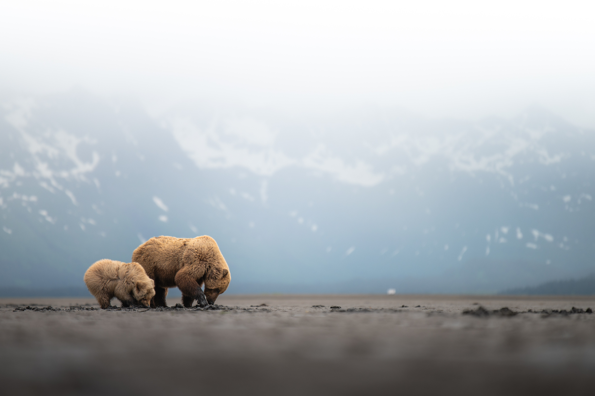 They Thought They Escaped Edge Of Alaska Then And Now The Untold Story - u0jyzwb