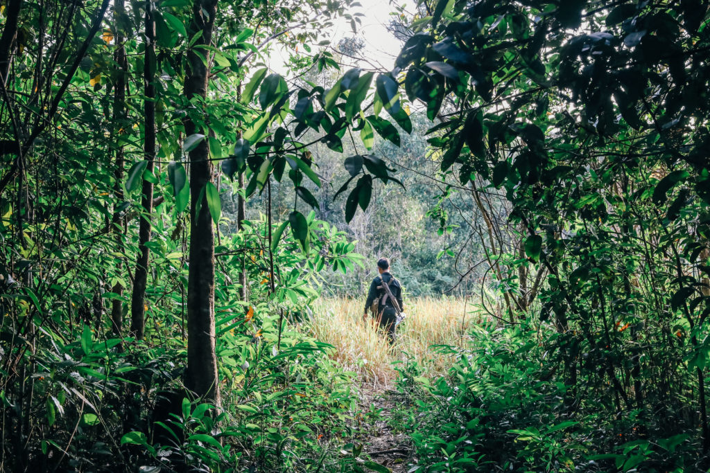 Wildlife Alliance Rangers 1