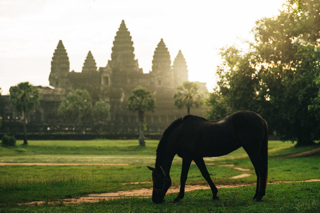 Zannier Hotels Phum Baitang - Siem Reap, Cambodia 2 - © Alex Teuscher
