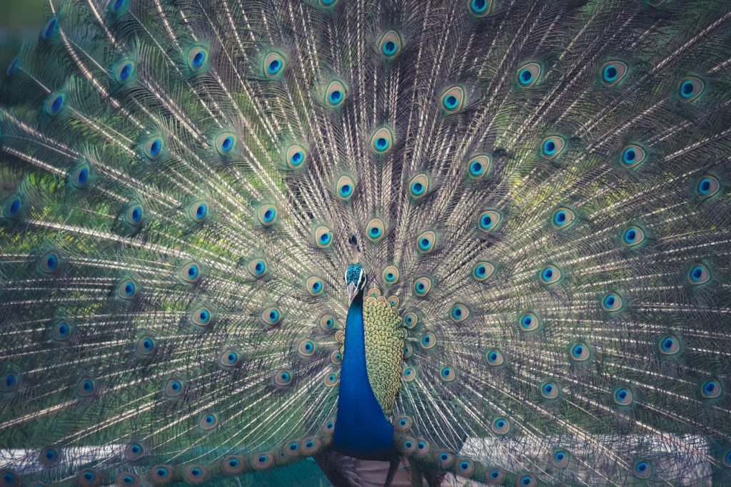 lenstravelier-TNwWYi-07xY-unsplash