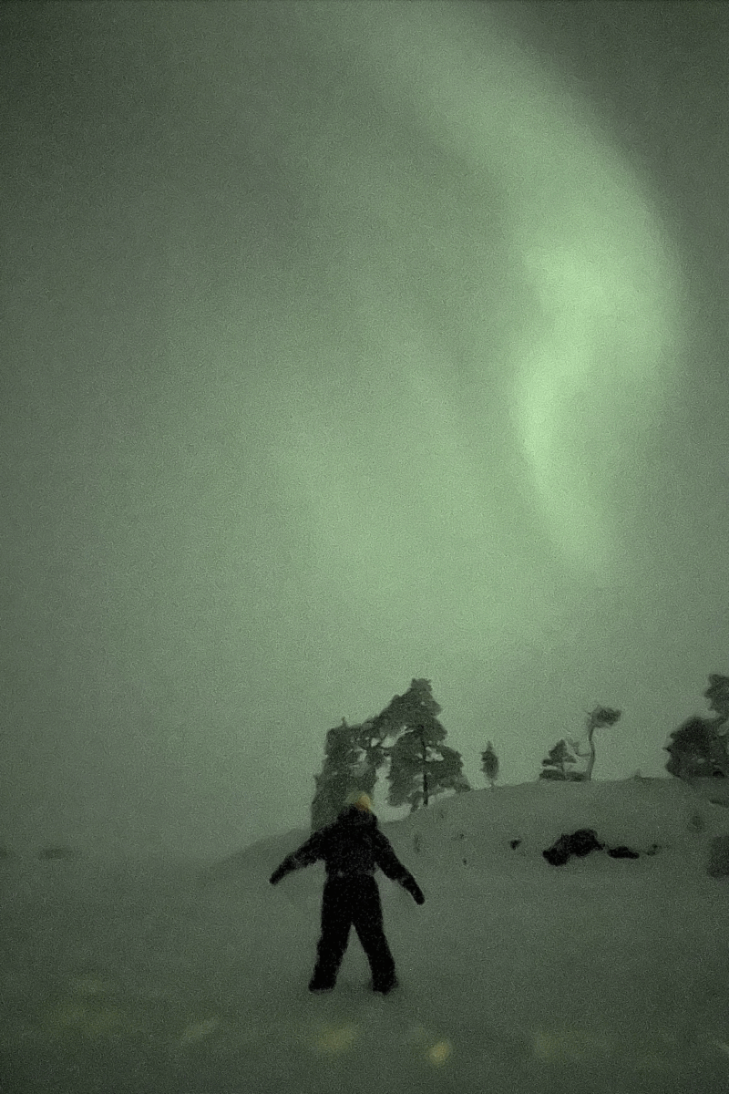 Screen Shot 2024-11-25 at 11.36.59 AM