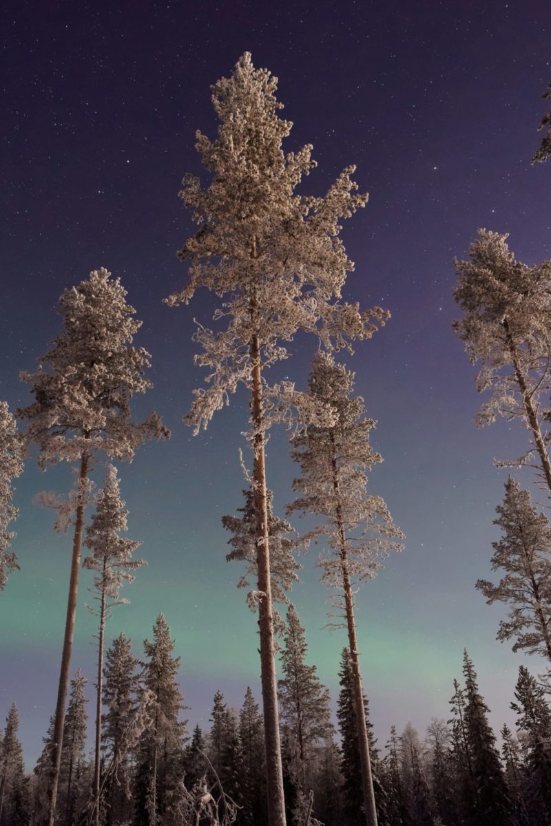 vincent-guth-MAxHEAaAukI-unsplash