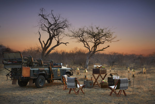 Best African Safari Destinations