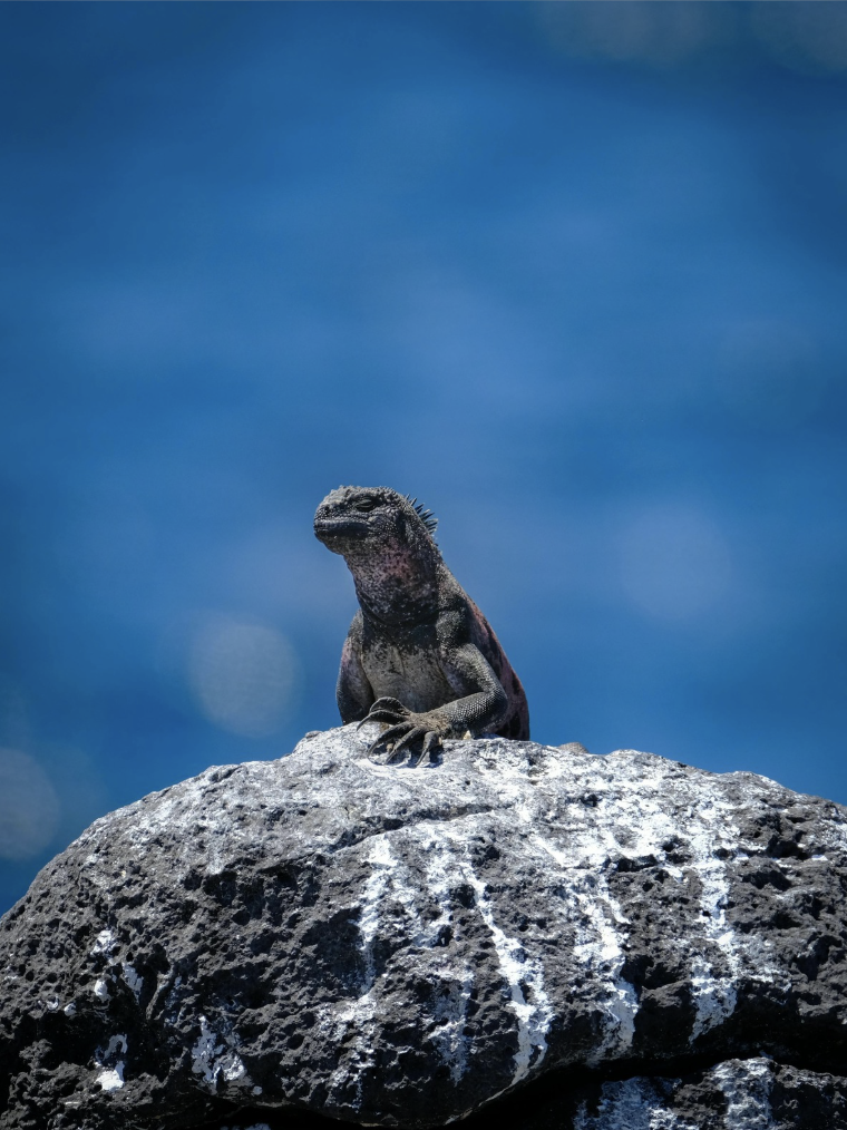 Screenshot 2026-04-03 at 11.42.33 AM