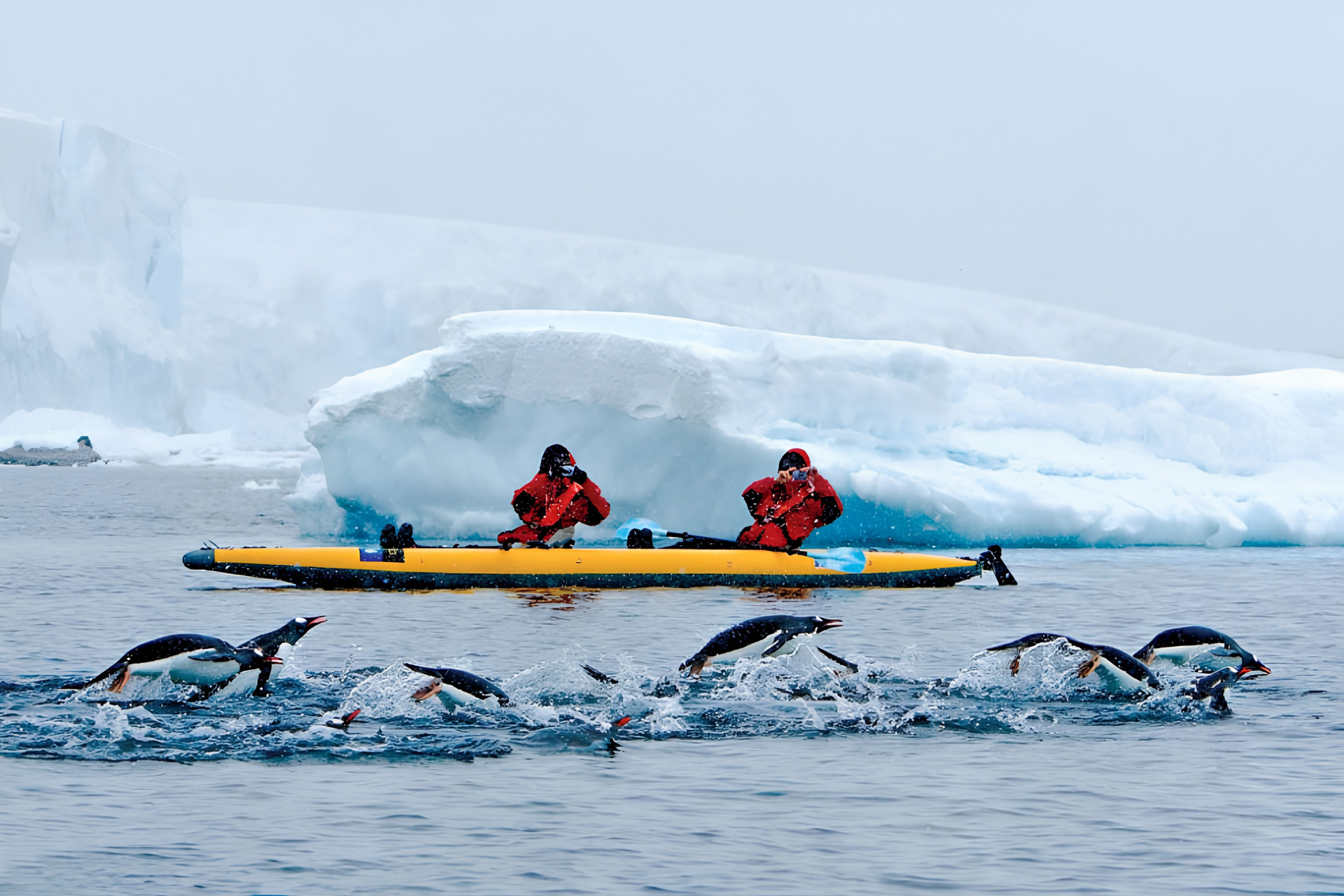 Kayakers in Antarctica watching penguins swimming through icy waters near floating ice
