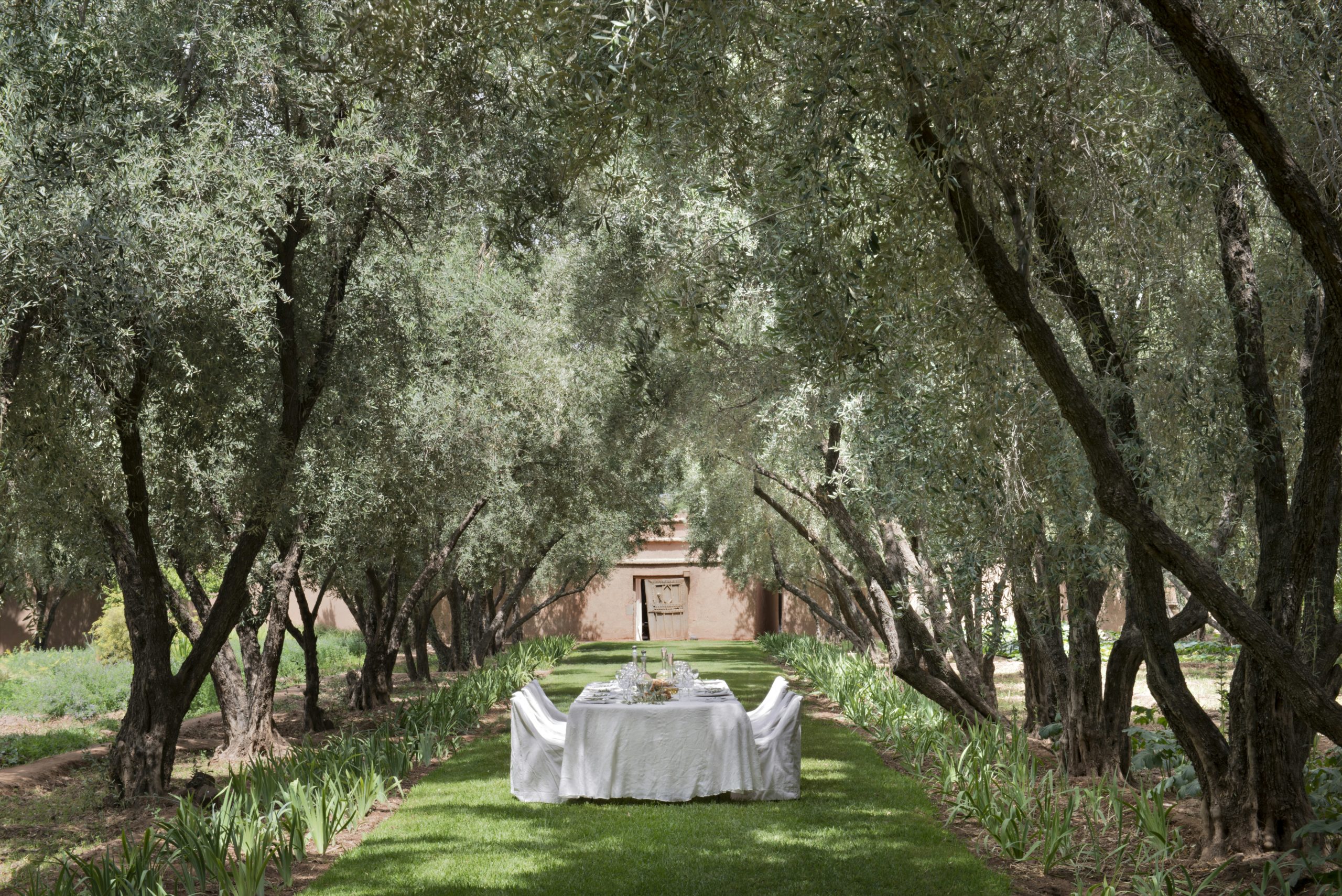 Elegant outdoor dining table set beneath olive trees at luxury Dar Ahlam, surrounded by lush gardens