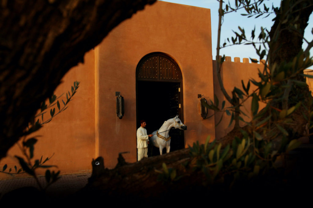 Traditional Moroccan riad entrance with arched doorway, courtyard wall and a white horse at the threshold