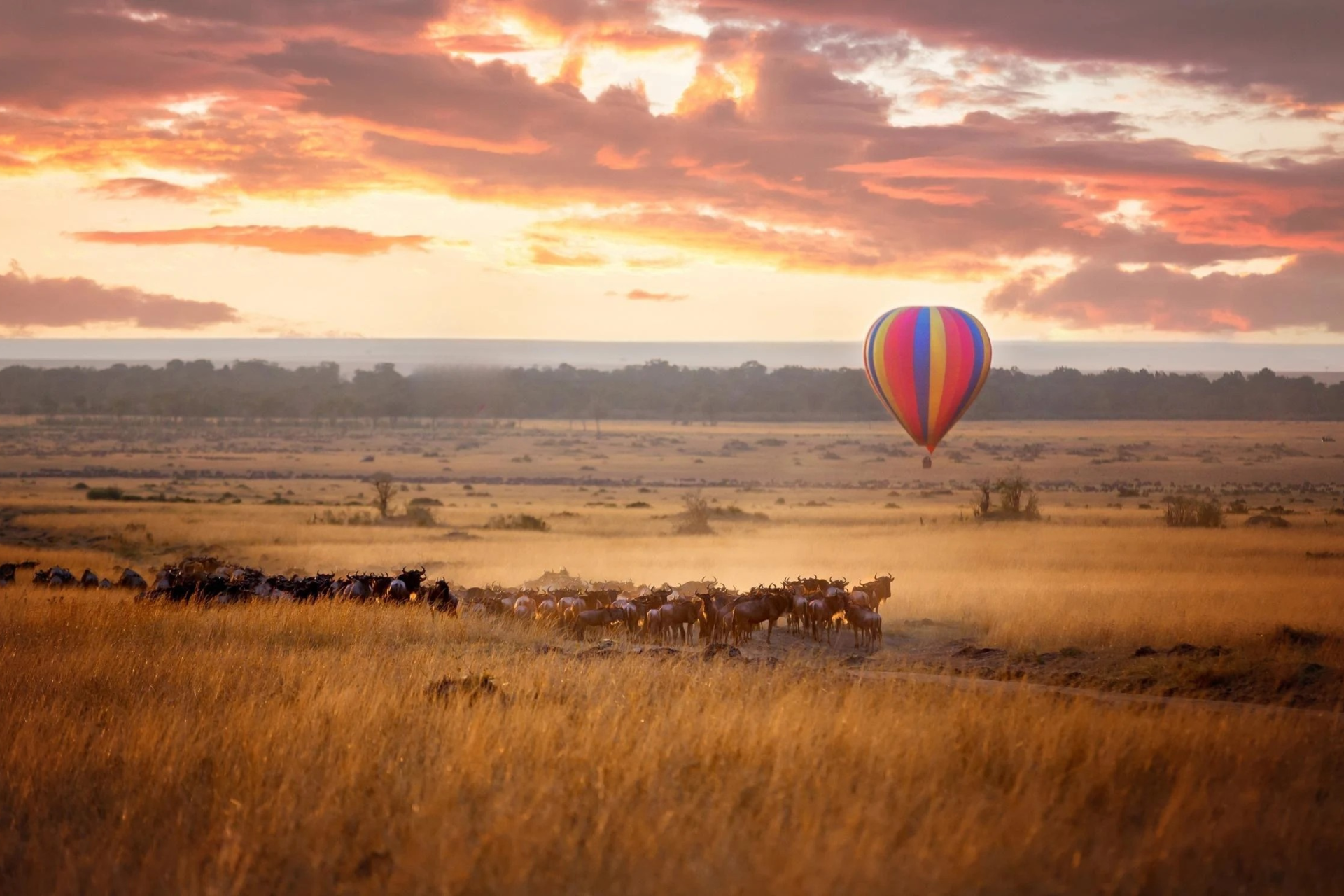 Hot Air Balloon Flight Over the Great Migration in the Serengeti
