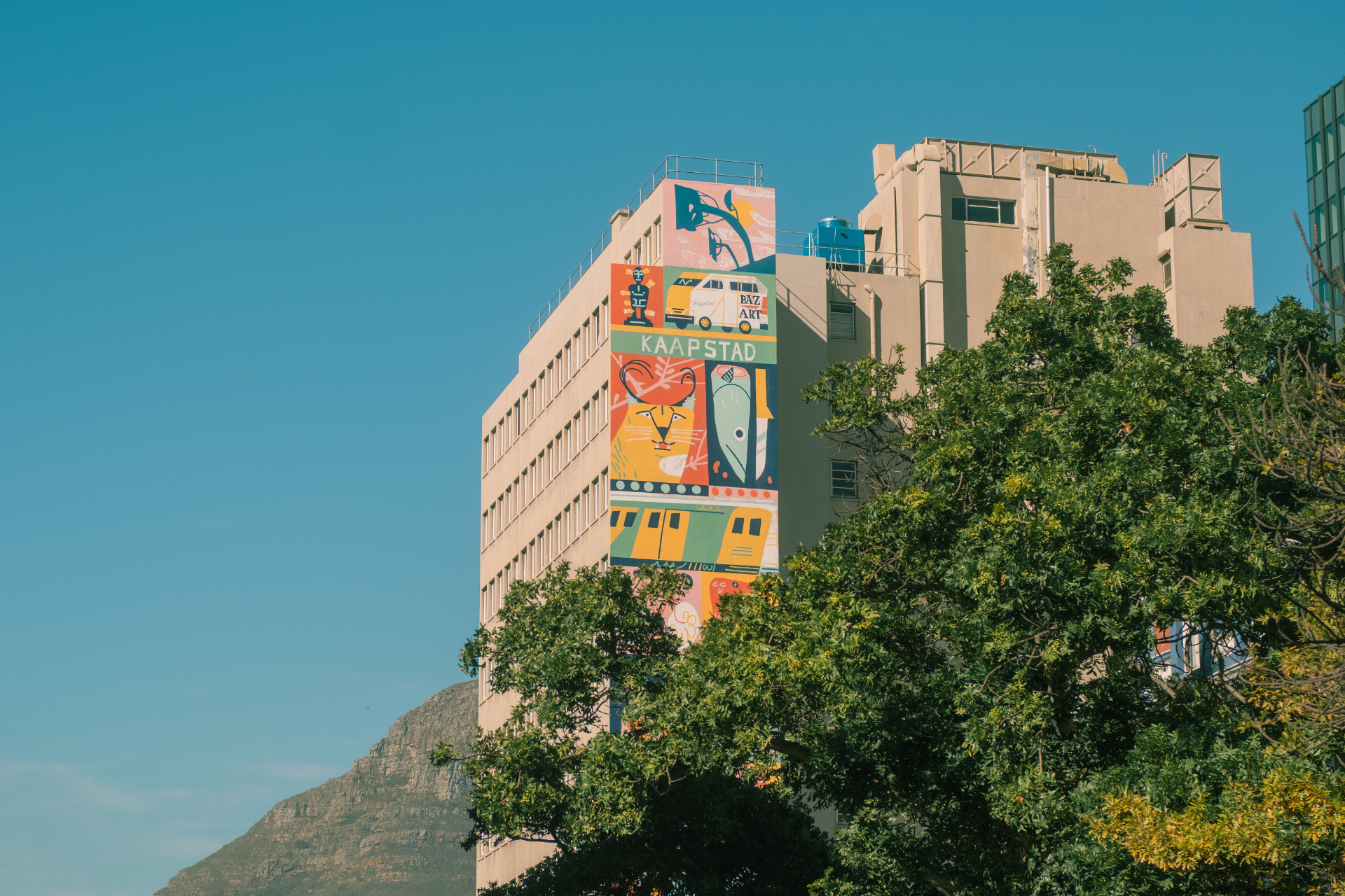 Colourful Bo-Kaap neighbourhood explored during a guided cultural walking tour in Cape Town