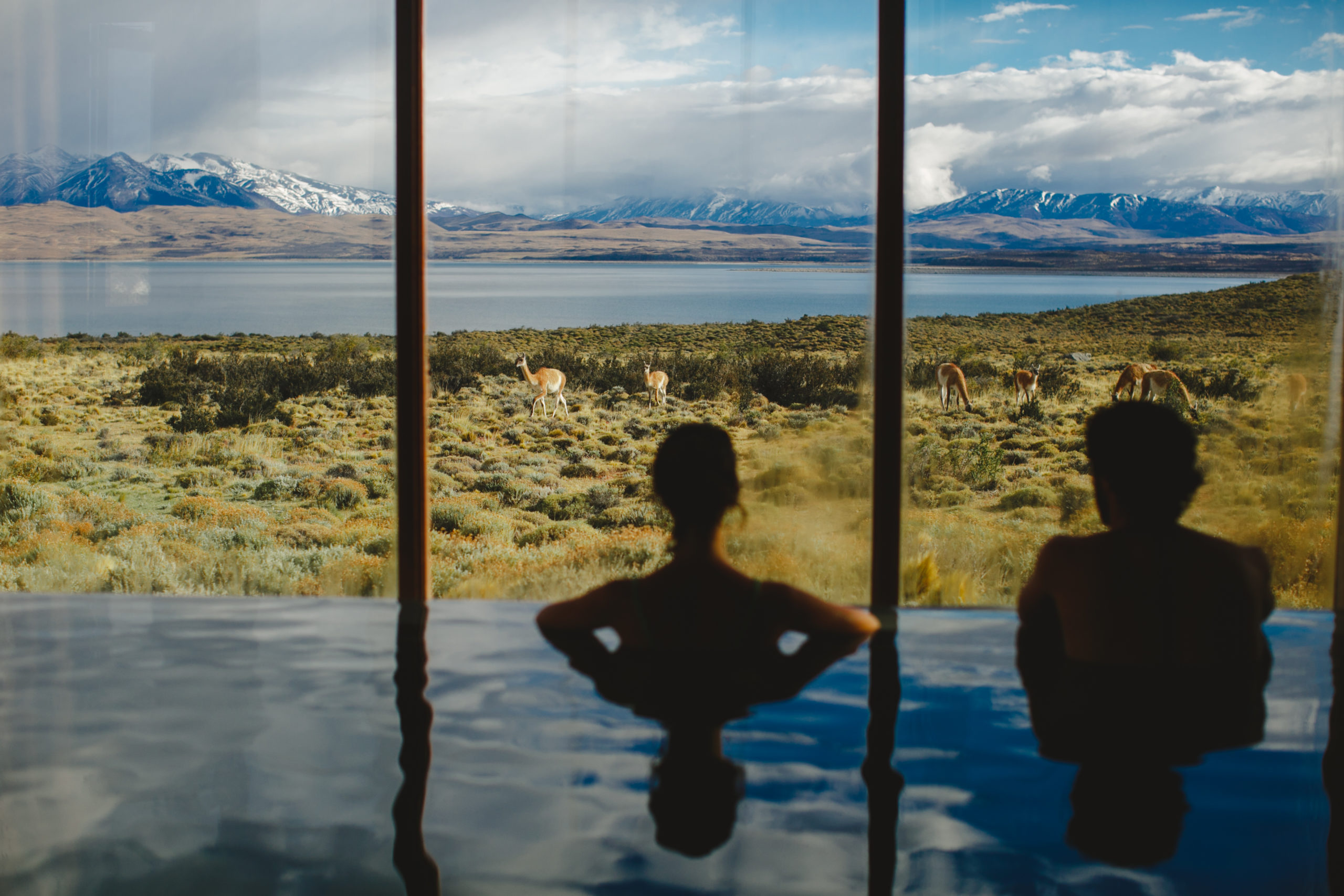 Guests in an infinity pool watching guanacos graze above a lake in Patagonia