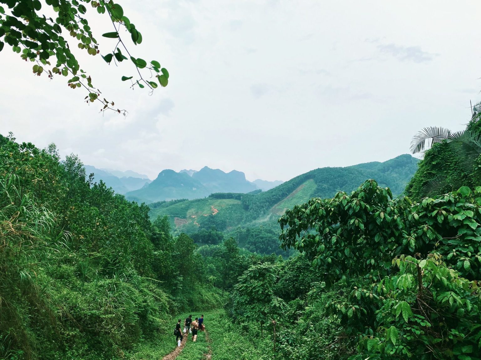 Trekkers hiking a forest trail through green hills on a luxury gorilla trekking trip in Rwanda