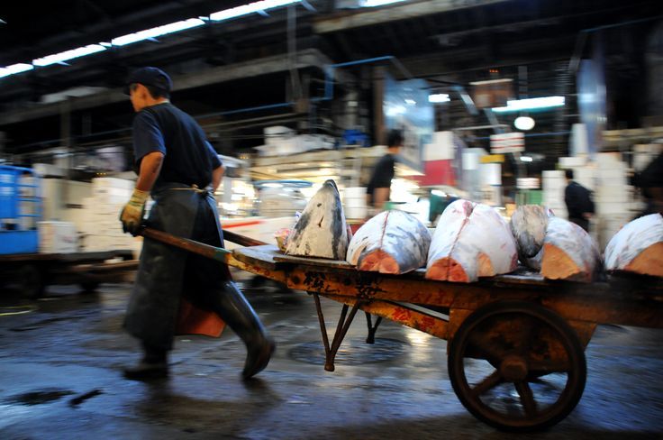 Worker pushing a cart of fresh tuna through a Tokyo fish market