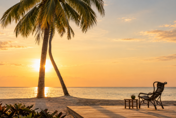 What Are the Top Reasons to Visit the Seychelles?