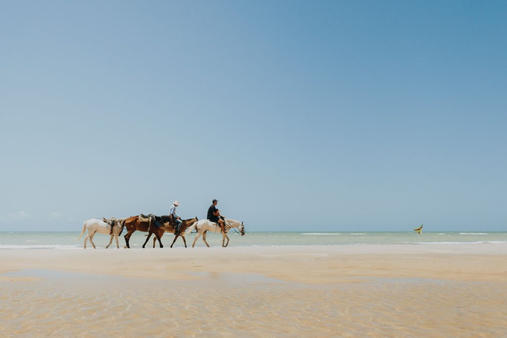 Riders on horseback walking along a wide sandy beach