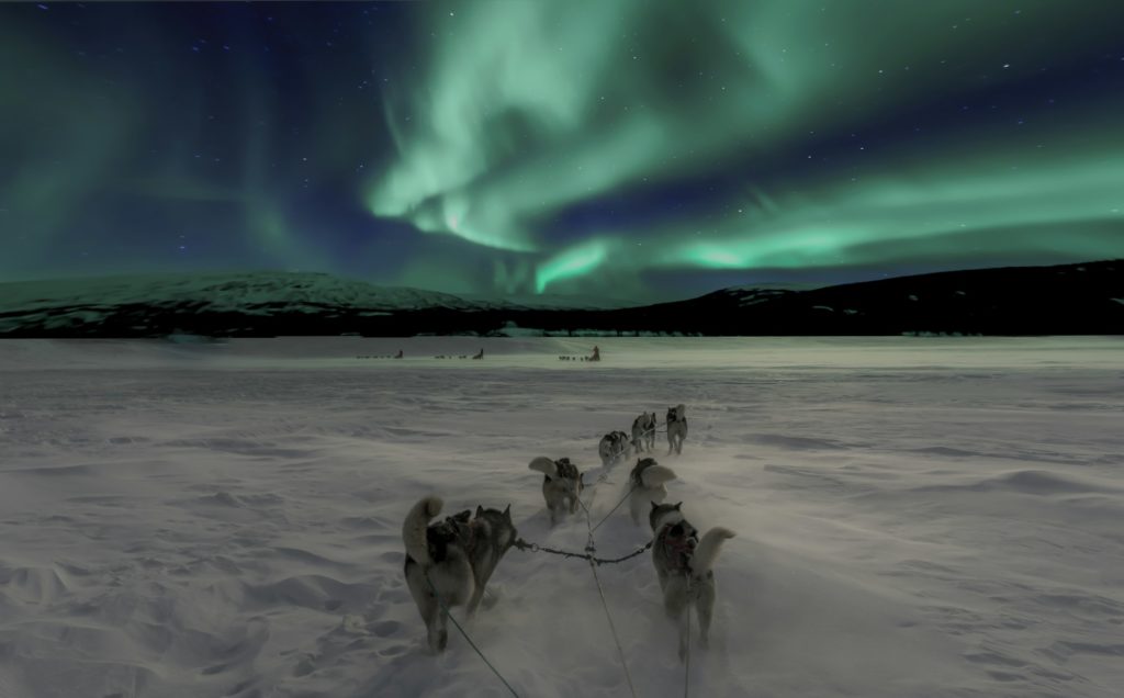 Norway - Husky Sledding under the Northern Lights Husky Sledding under the Northern Lights