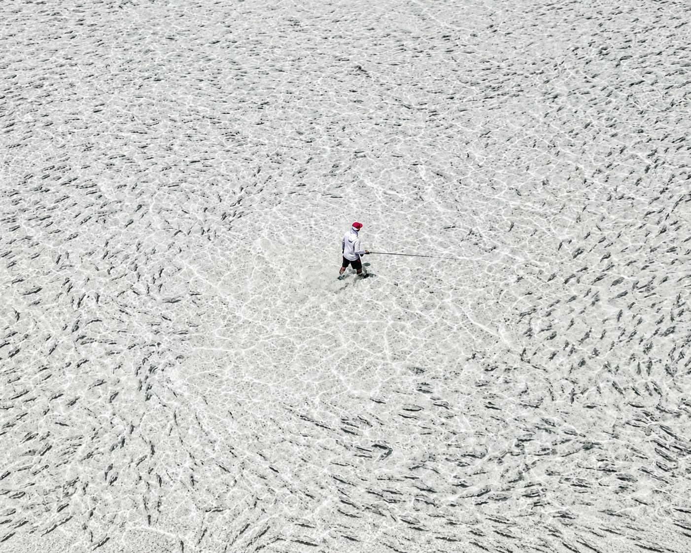 Angler fly fishing on shallow flats surrounded by fish at Alphonse Island in the Seychelles
